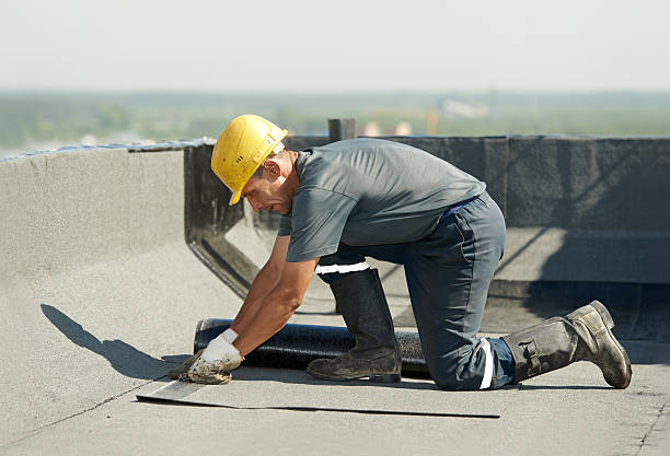 Best Residential Insulation in Debary, FL