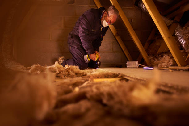 Best Types of Insulation in Debary, FL